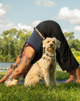 Adjustable Hands-Free Leash 3/4''