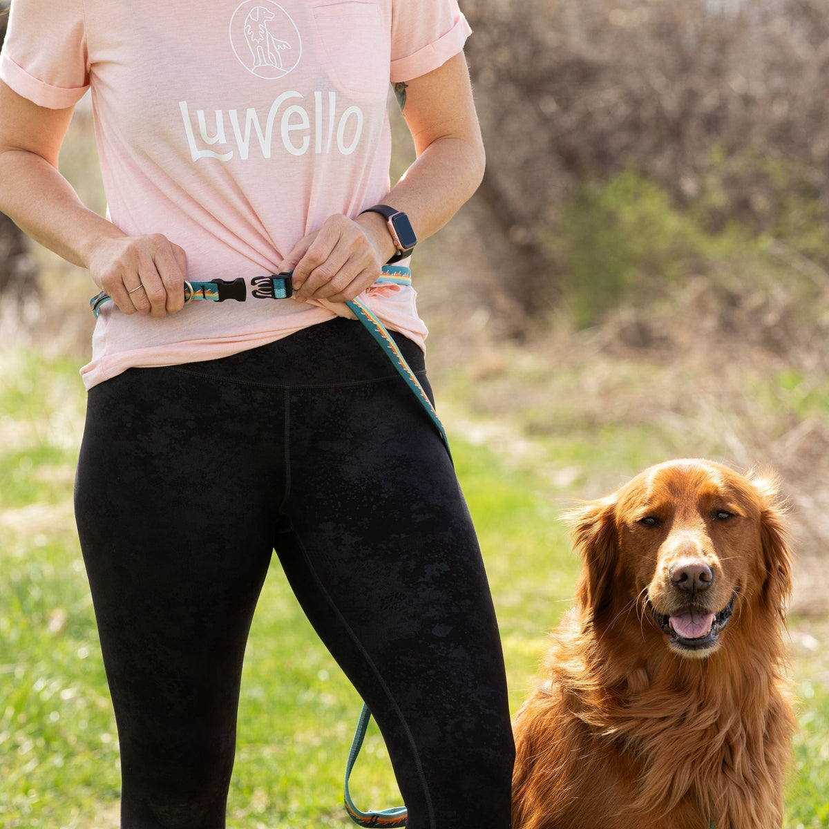 Adjustable Hands-Free Leash 3/4''