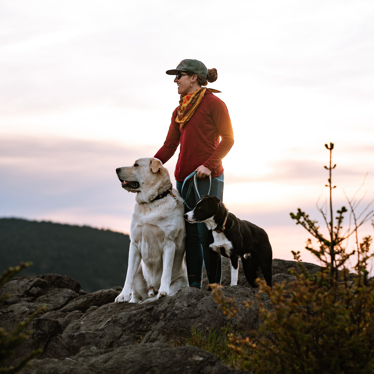 Adjustable Hands-Free Leash 1''