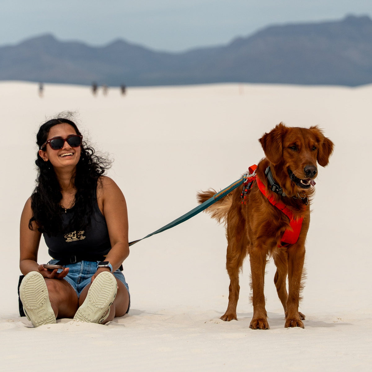 Adjustable Hands-Free Leash 3/4''