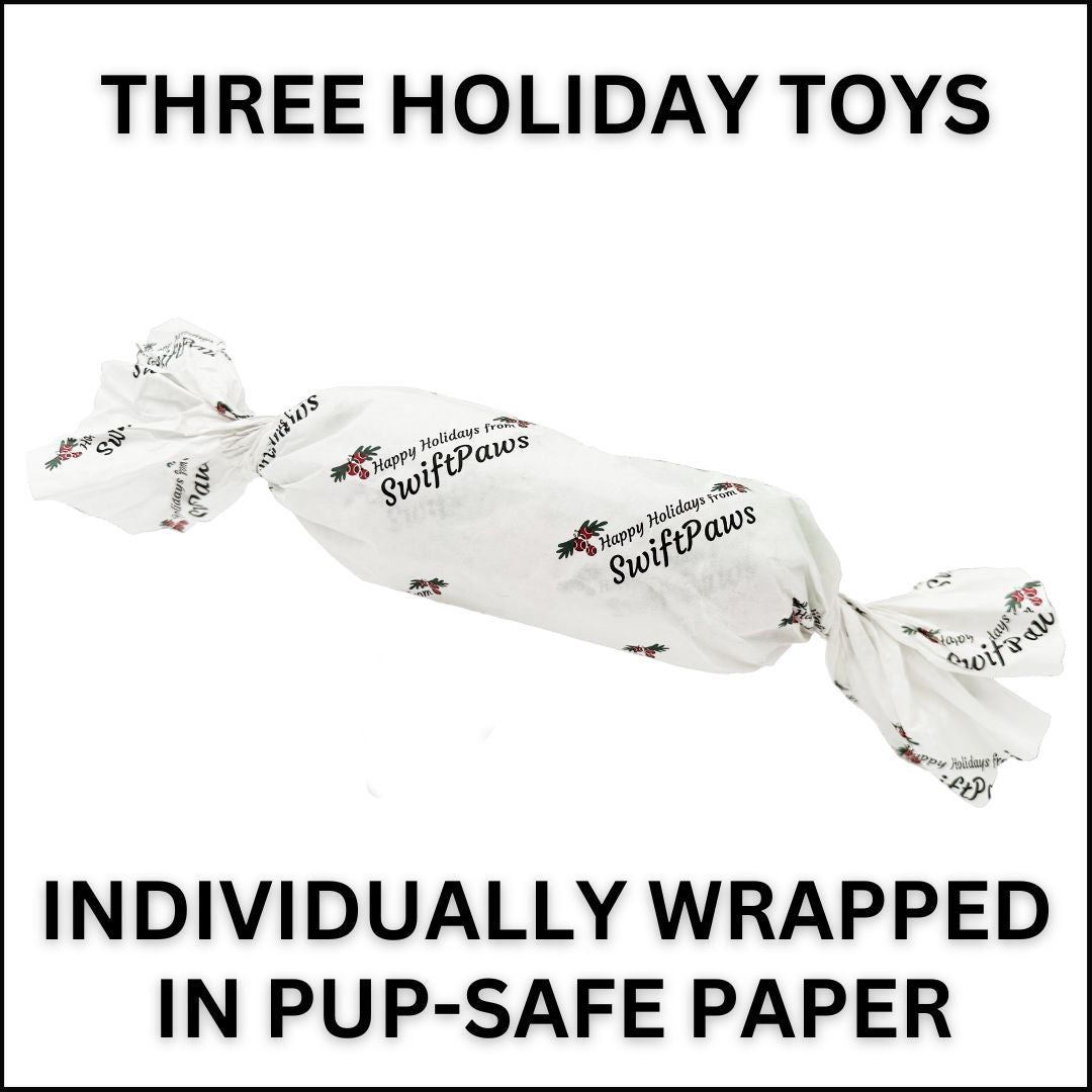 Holiday Surprise Toy - Set of Three