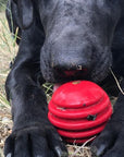 USA-K9 Stars and Stripes Ultra-Durable Rubber Chew Ball