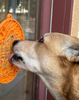 Camp eMat Enrichment Lick Mat With Suction Cups