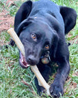 Durable Nylon Chew Stick for Power Chewers | Durable Dog Toy USA