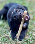 Durable Nylon Chew Stick for Power Chewers | Durable Dog Toy USA