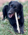 Durable Nylon Chew Stick for Power Chewers | Durable Dog Toy USA