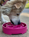 Flower eBowl Slow Feeder Dog Bowl - Prevents Bloat | USA Made
