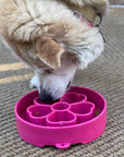 Flower eBowl Slow Feeder Dog Bowl - Prevents Bloat | USA Made