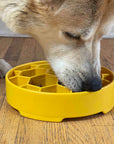 Honeycomb Design eBowl Enrichment Slow Feeder Bowl for Dogs