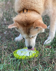 Water Frog Design eTray Enrichment Tray for Dogs