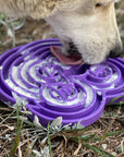 Water Frog Design eTray Enrichment Tray for Dogs