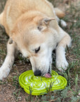 Water Frog Design eTray Enrichment Tray for Dogs