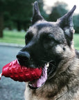 USA-K9 Grenade Shaped Rubber Dog Toy - Chew, Treat Dispenser & Tug Toy | USA
