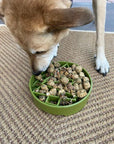 Pine Tree Christmas eBowl Deep Slow Feeder Dog Bowl for Enrichment | USA Made