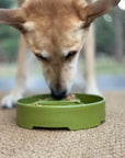 Pine Tree Christmas eBowl Deep Slow Feeder Dog Bowl for Enrichment | USA Made