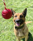 USA-K9 Stars and Stripes Ultra-Durable Rubber Chew Ball