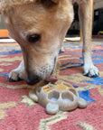 Turtle Nylon Chew Toy - Ultra-Durable Enrichment Toy for Power Chewers USA