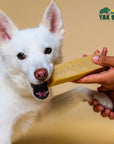 Coconut Yak Milk Chews for Dogs