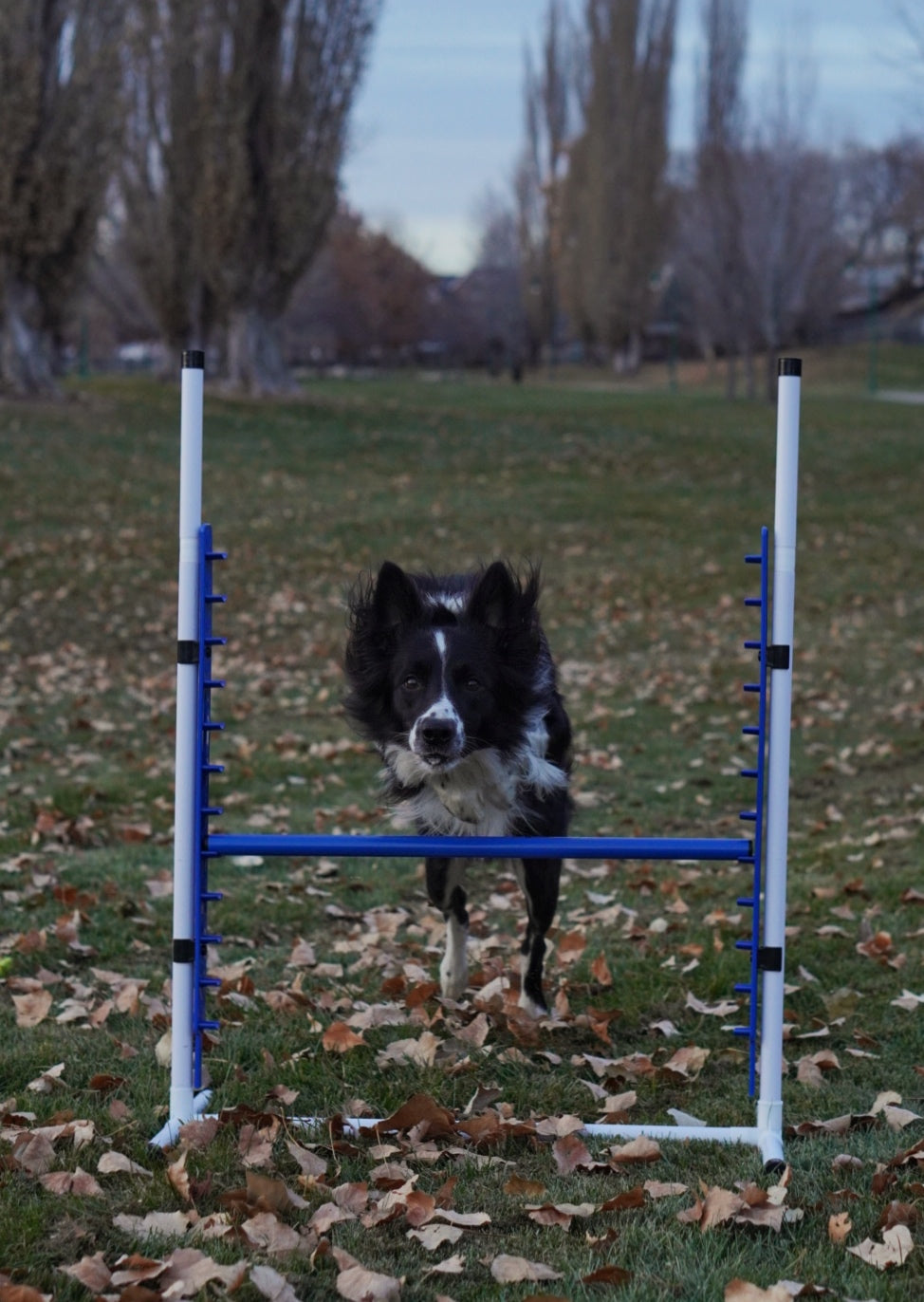 Adjustable Agility Jumps (Bar Jumps)