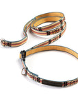 Adjustable Hands-Free Leash 3/4''