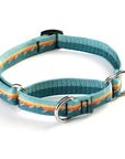 Classic Martingale Training Collar 1''