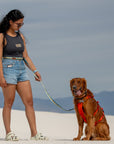 Adjustable Hands-Free Leash 3/4''