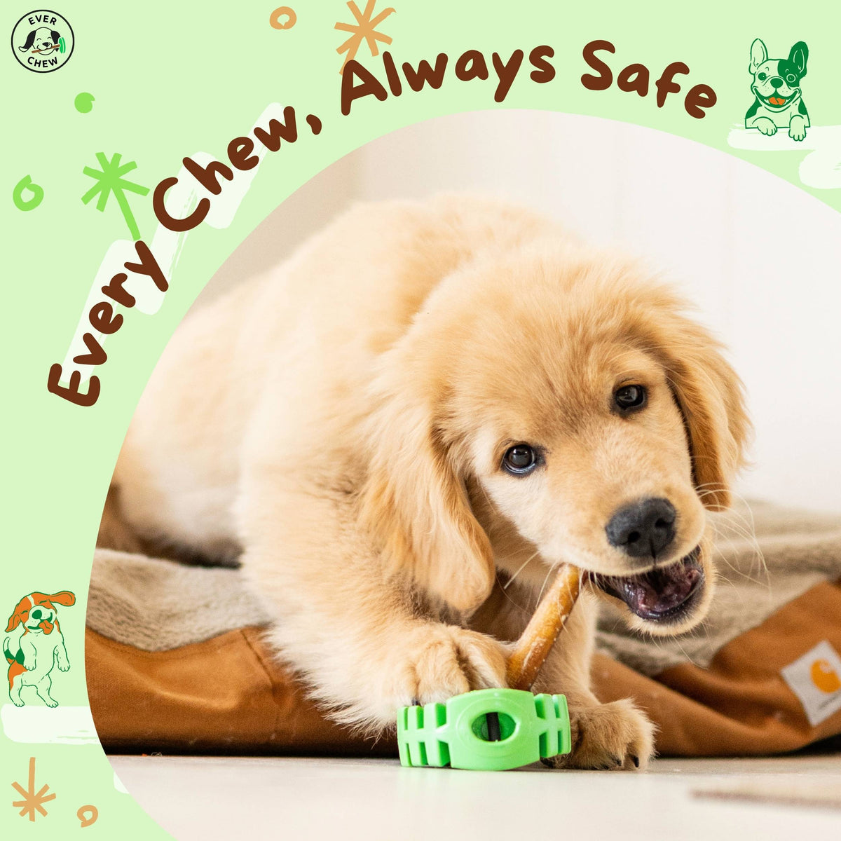 SafetyChew+ Bully Stick Holder &amp; All-Natural Bully Sticks for Medium Dogs