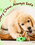 SafetyChew+ Bully Stick Holder & All-Natural Bully Sticks for Medium Dogs