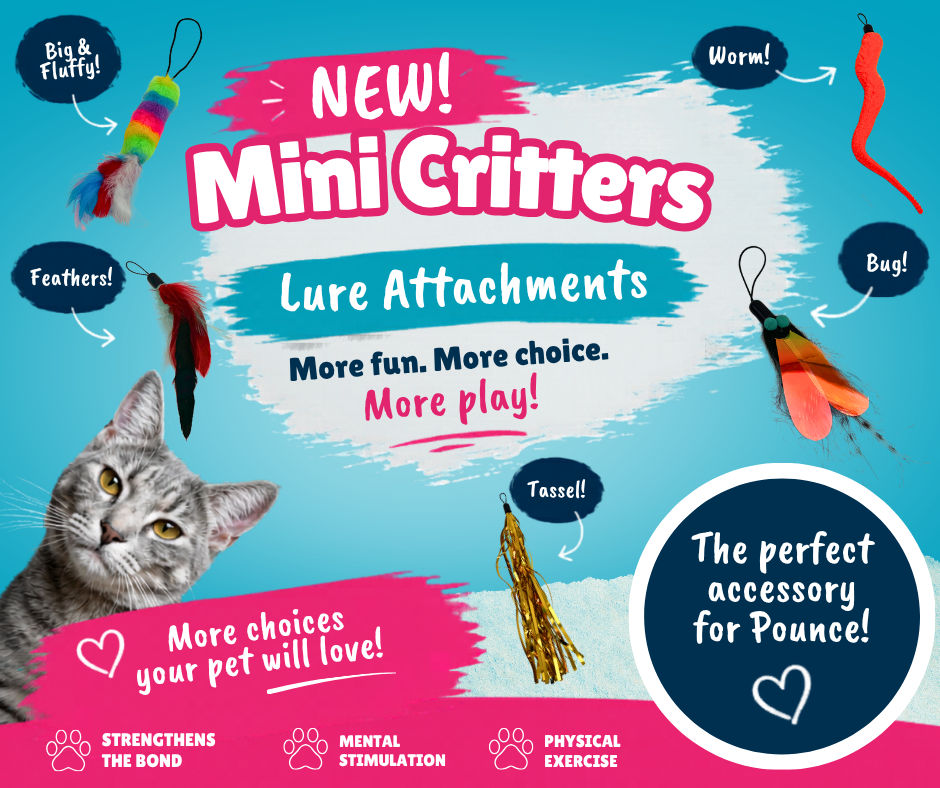 Mini Critters - for Pounce! – SwiftPaws