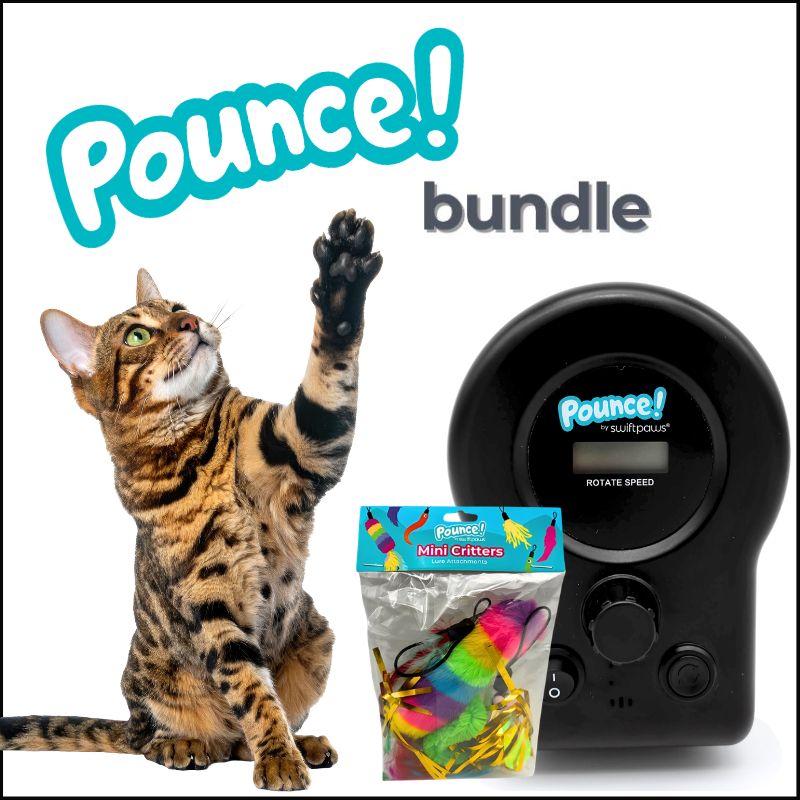 Pounce Bundle