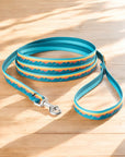 Classic Dog Leash 1/2''