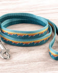 Classic Dog Leash 3/4''