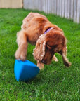 Roolo Enrichment Bopping Ball