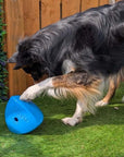 Roolo Enrichment Bopping Ball