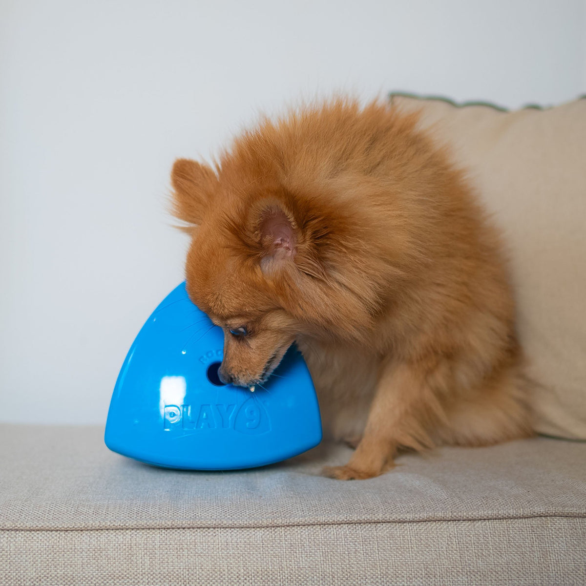 Roolo Enrichment Bopping Ball