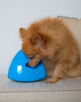 Roolo Enrichment Bopping Ball