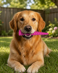 Unicorn Horn Nylon Dog Chew Toy | Durable for Aggressive Chewers | SodaPup