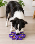Mandala eTray Shallow Slow Feeder Dog Bowl for Enrichment | USA Made