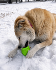 Honey Pot Dog eCup Treat Dispenser | Durable PUP-X Rubber Enrichment Toy | USA Made - Limited Edition Apple Green