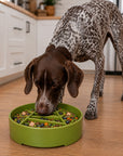 Pine Tree Christmas eBowl Deep Slow Feeder Dog Bowl for Enrichment | USA Made