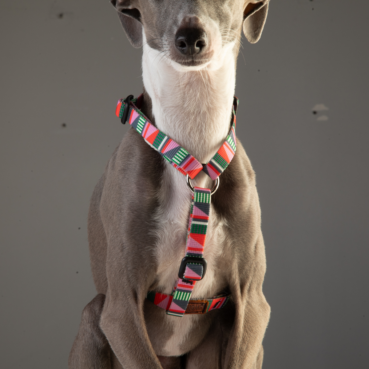 Escape Free Dog Harness 1/2''