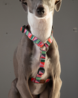 Escape Free Dog Harness 1/2''