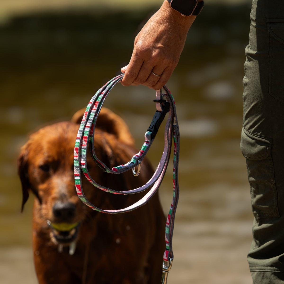 Adjustable Hands-Free Leash 1''