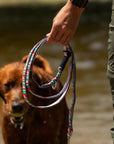 Adjustable Hands-Free Leash 1''