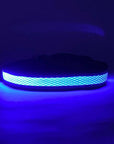 LED Dog Collar: Blue