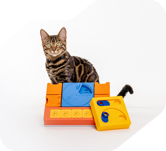 Pawzler Set - Curious Cat
