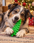 Christmas Tree Nylon Dog Chew Toy for Aggressive Chewers | USA Made & FDA Compliant