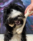 BetterBone SOFT Density-All-Natural, Perfect for teething Puppies, Older dogs, LIGHT chewers