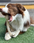 BetterBone SOFT Density-All-Natural, Perfect for teething Puppies, Older dogs, LIGHT chewers