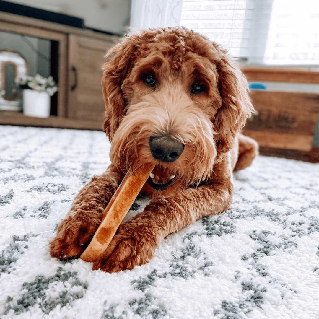 100% Yak Milk Chews for Dogs